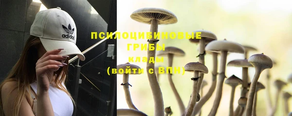 MDMA Premium VHQ Верхнеуральск