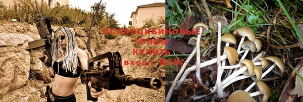 соль курить ск Верея