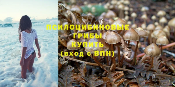 соль курить ск Верея