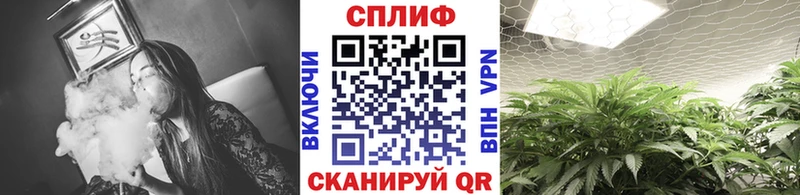 хочу Карпинск Конопля Amnesia